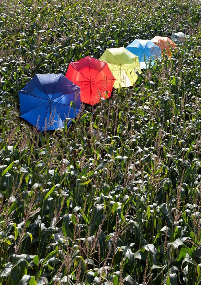 Regenschirm Andy